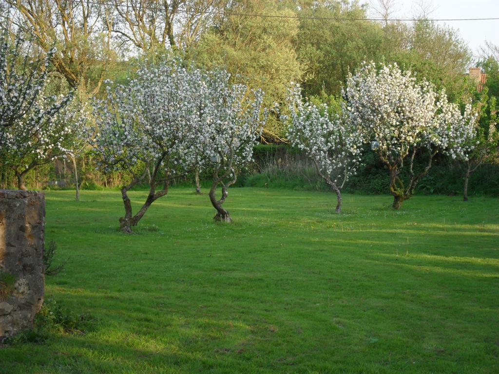 Domaine De La Ronville Wimereux Exterior foto